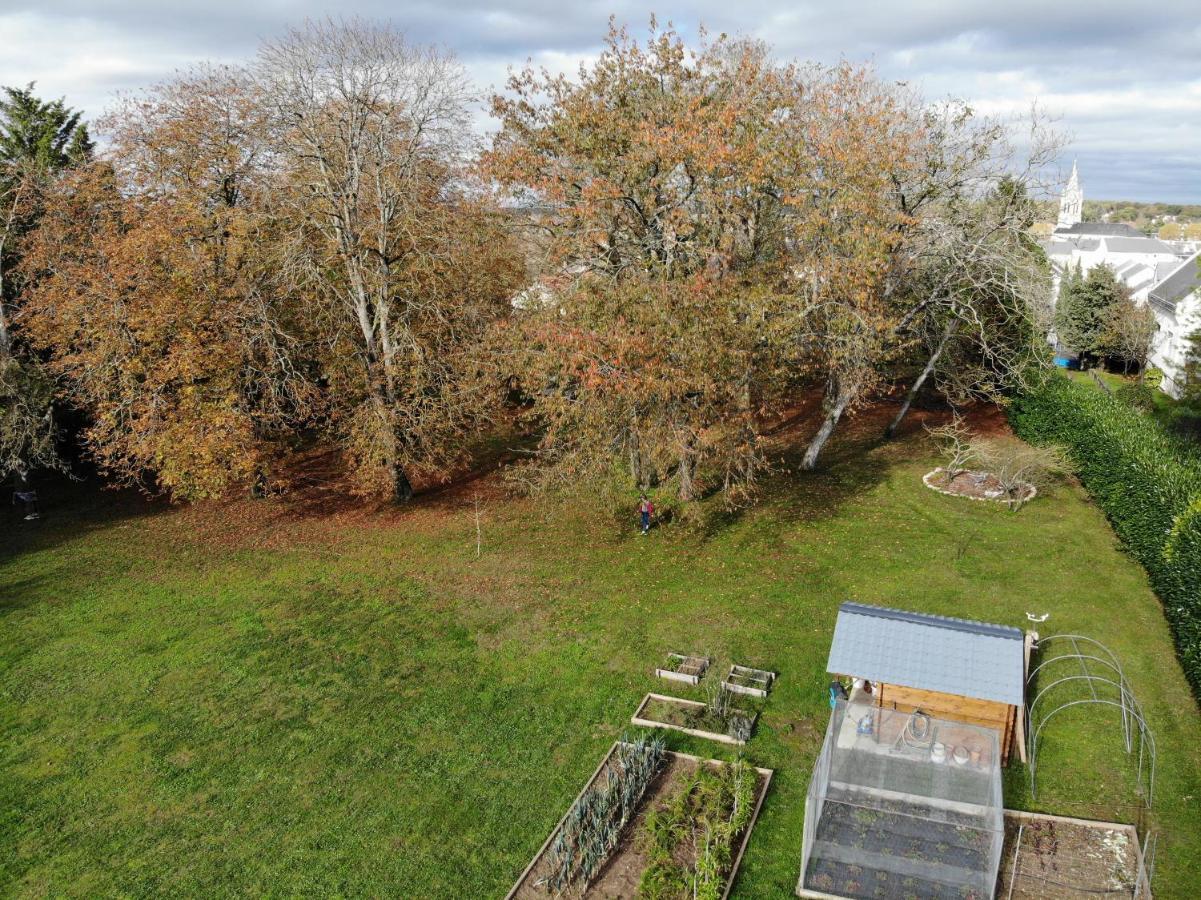 Domaine Du Moulin A Vent - Gite & Spa Saint-Florent-sur-Cher Exterior foto